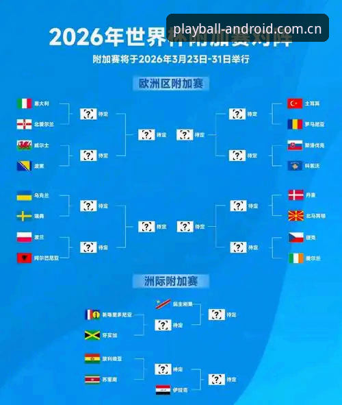 2026世界杯观赛体验深度评测：签证危机下的“冷场”现象